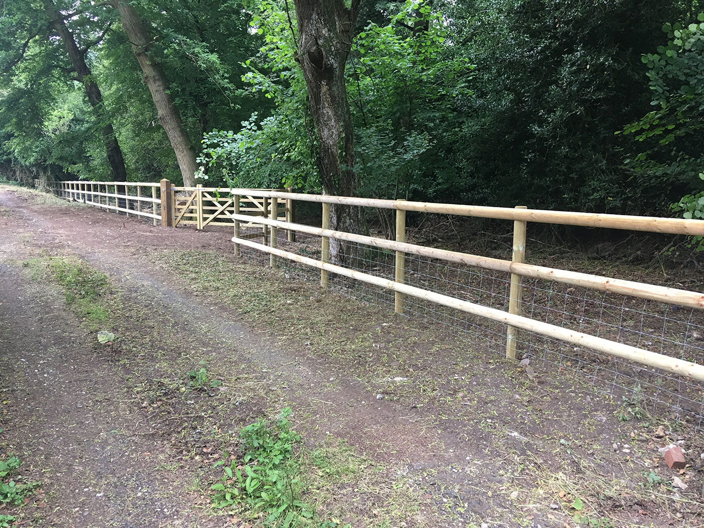 Agricultural Fencing by Vincent Fencing
