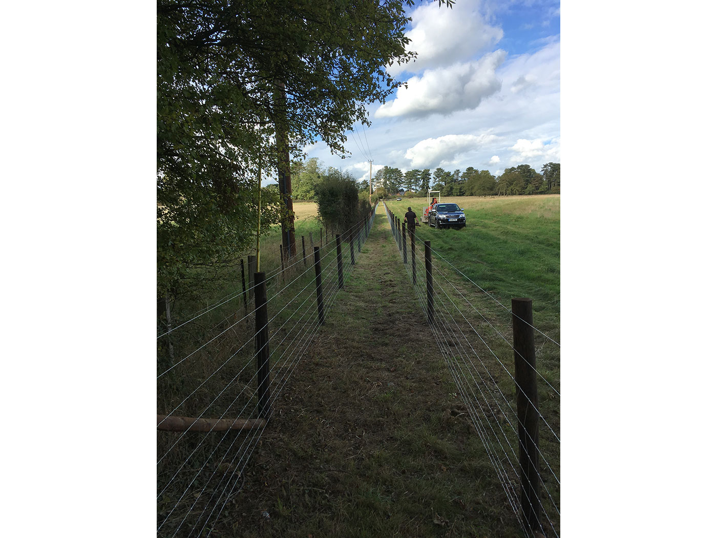 Stock netting on posts by Vincent Fencing