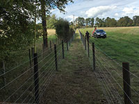 Stock netting on posts by Vincent Fencing