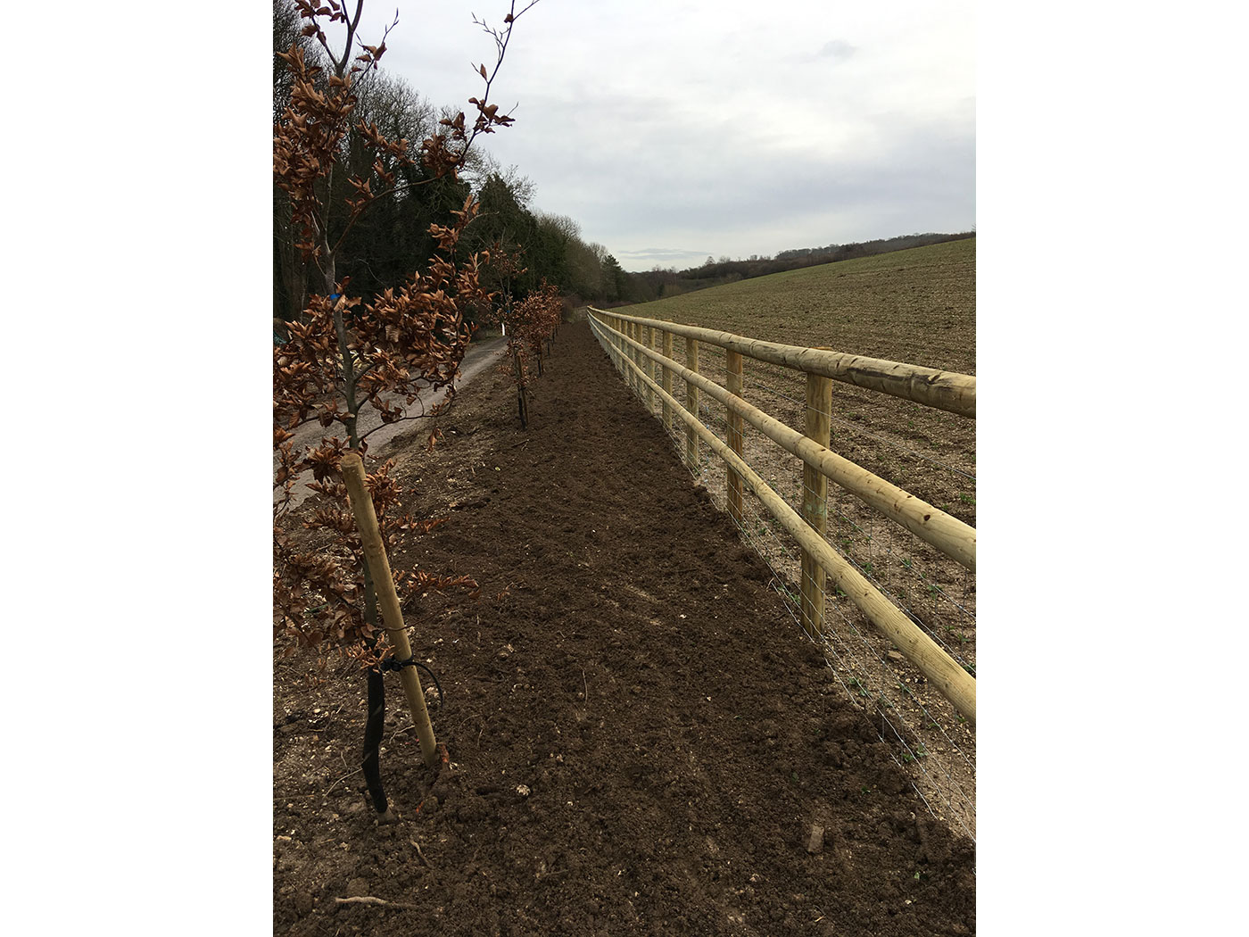 Post and Rail fence with netting by Vincent Fencing