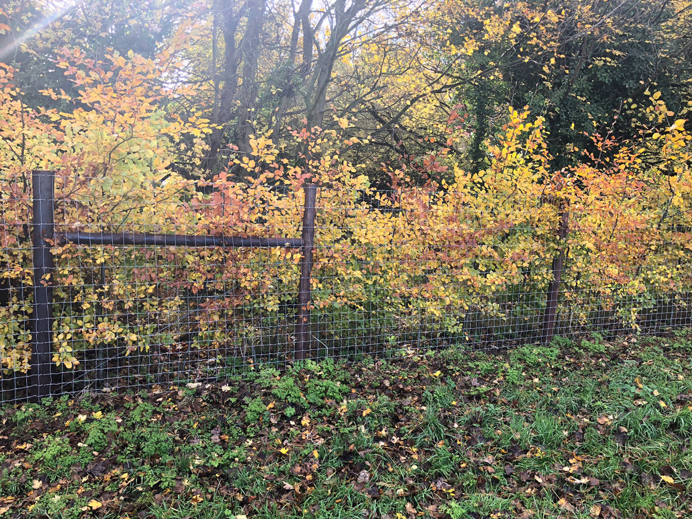 Agricultural Deer netting by Vincent Fencing