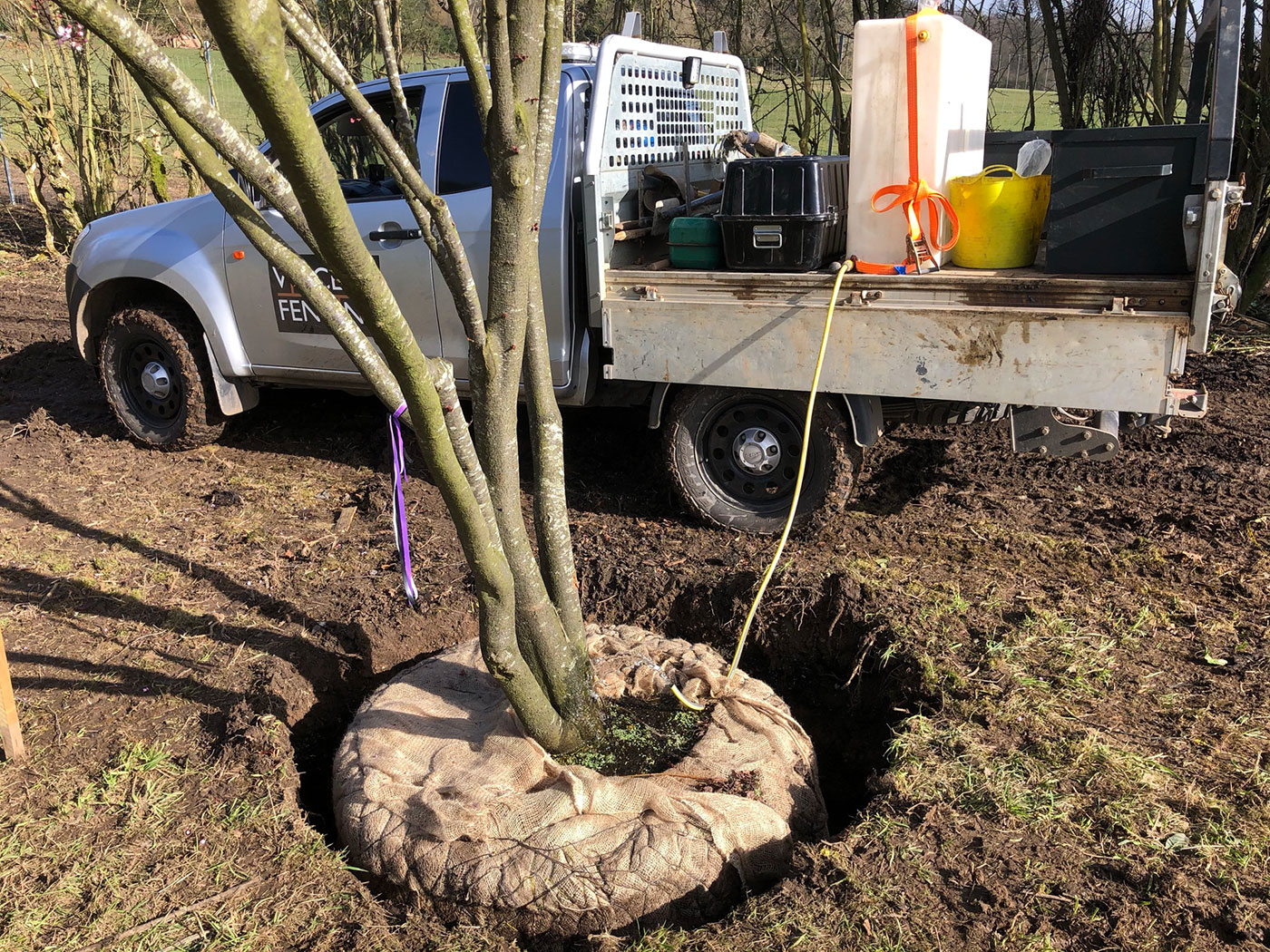 Tree planting by Vincent Fencing