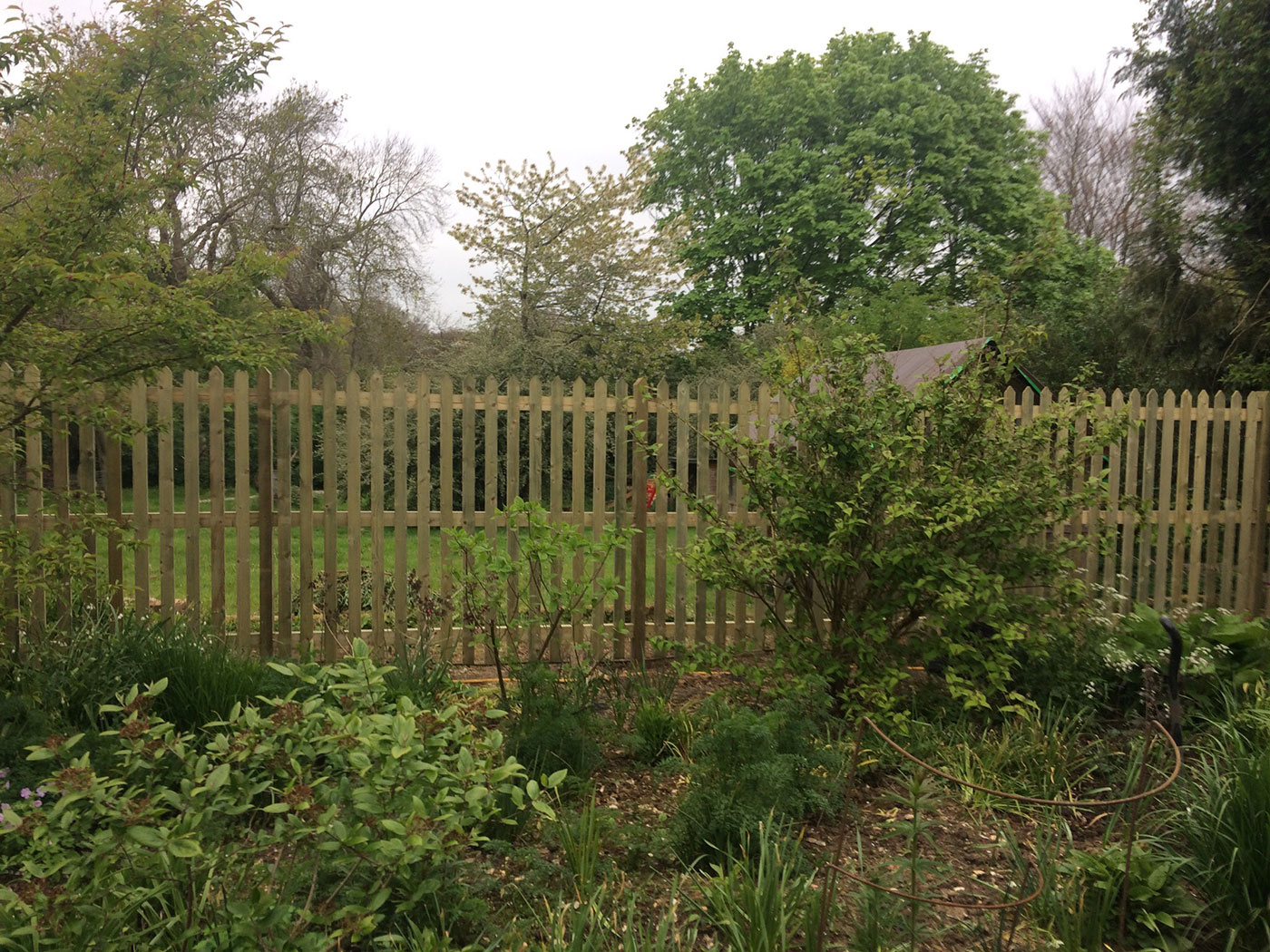 Pointed picket fencing by Vincent Fencing